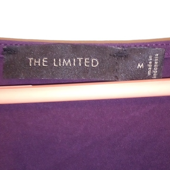 NWOT - The Limited - Flowy Brown Decorative Sleeveless Top - Size Medium - Picture 4 of 7